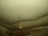 1 Bedroom Ceiling Before